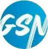 gsn logo