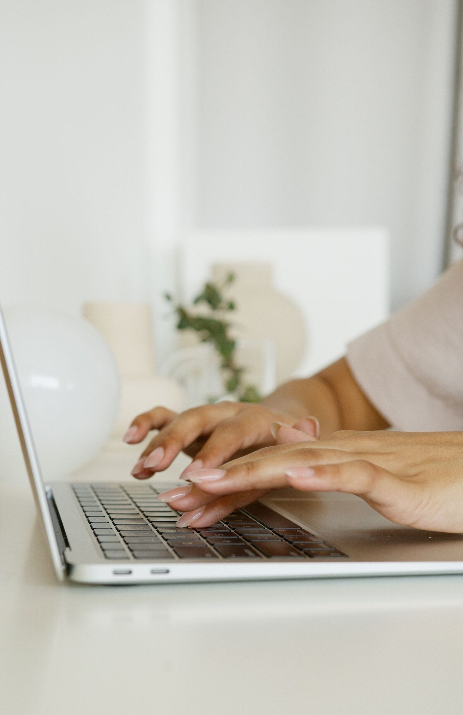 WordPress Maintenance Services